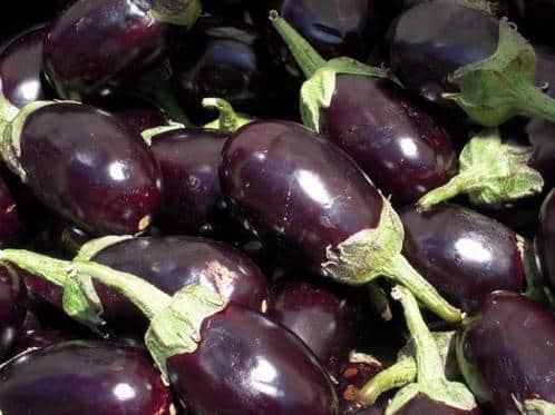 Congeler l’aubergine sans blanchir : guide pratique