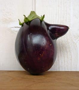 Congeler l'aubergine sans blanchir : guide pratique